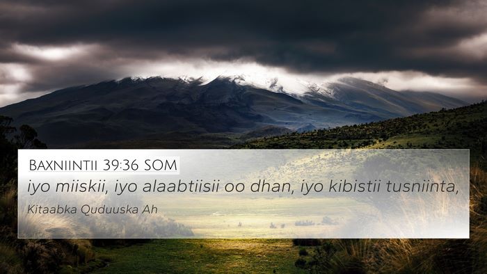 Baxniintii 39:36 SOM Bible Verse Image