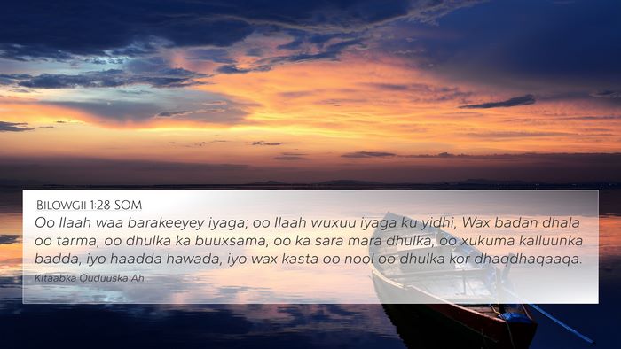 Bilowgii 1:28 SOM Bible Verse Image