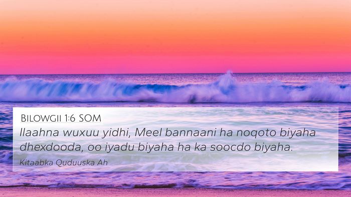 Bilowgii 1:6 SOM Bible Verse Image