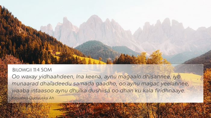Bilowgii 11:4 SOM Bible Verse Image