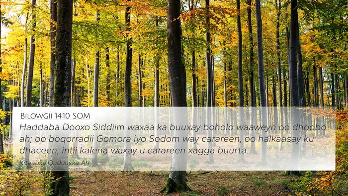 Bilowgii 14:10 SOM Bible Verse Image