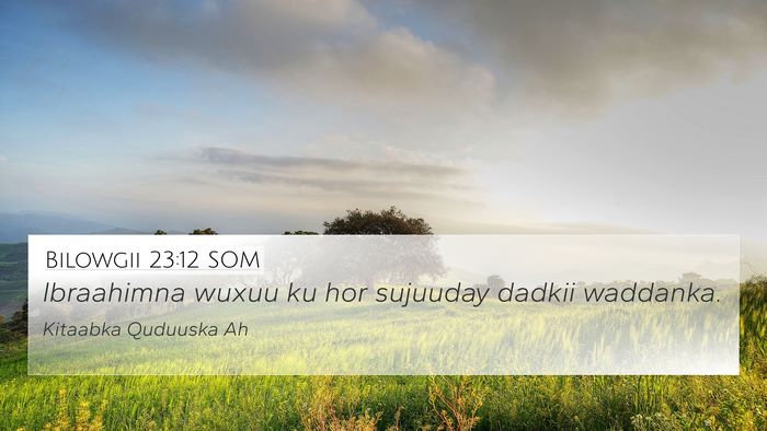 Bilowgii 23:12 SOM 4K Wallpaper - Ibraahimna wuxuu ku hor sujuuday dadkii - 4K Wallpaper Bible Verse