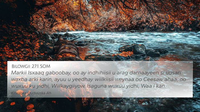 Bilowgii 27:1 SOM 4K Wallpaper - Markii Isxaaq gaboobay, oo ay indhihiisii u arag - 4K Wallpaper Bible Verse