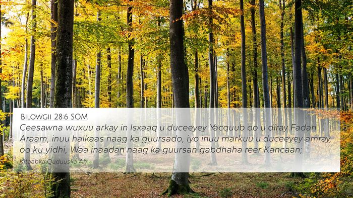 Bilowgii 28:6 SOM Bible Verse Image