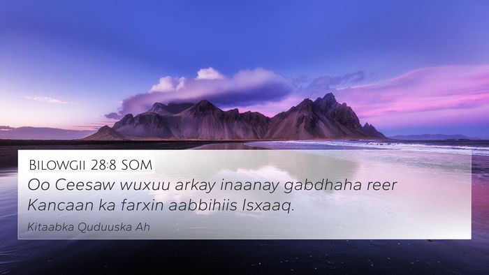 Bilowgii 28:8 SOM Bible Verse Image