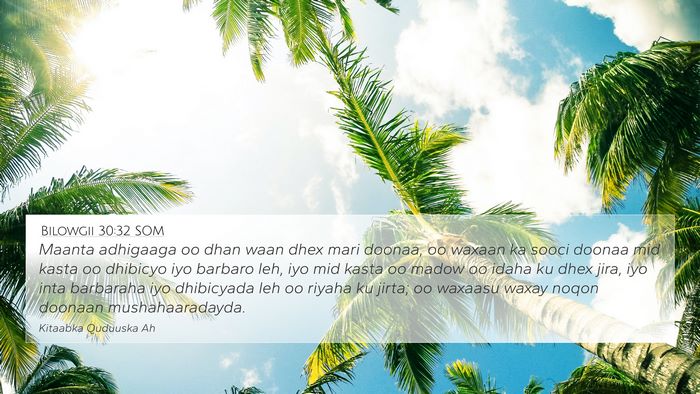 Bilowgii 30:32 SOM Bible Verse Image