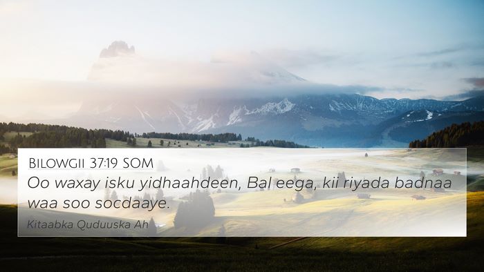 Bilowgii 37:19 SOM Bible Verse Image