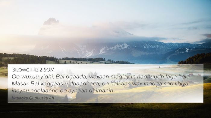 Bilowgii 42:2 SOM Bible Verse Image