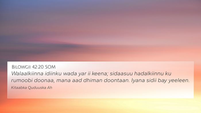Bilowgii 42:20 SOM Bible Verse Image