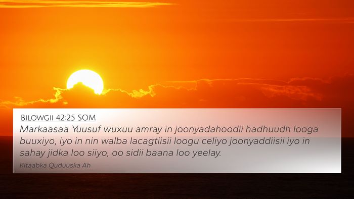 Bilowgii 42:25 SOM Bible Verse Image