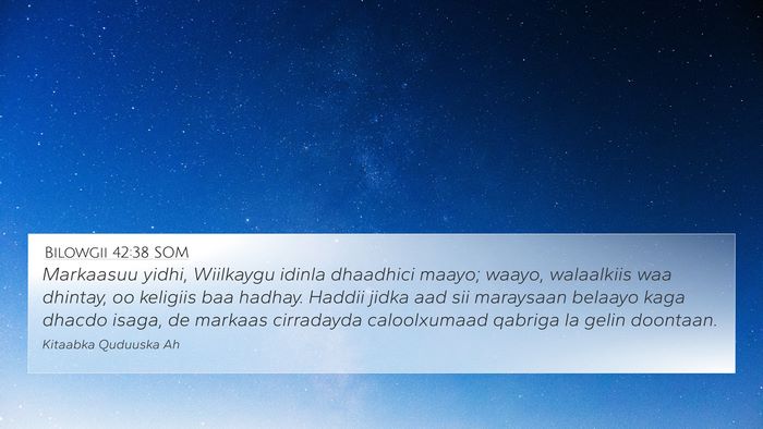 Bilowgii 42:38 SOM Bible Verse Image