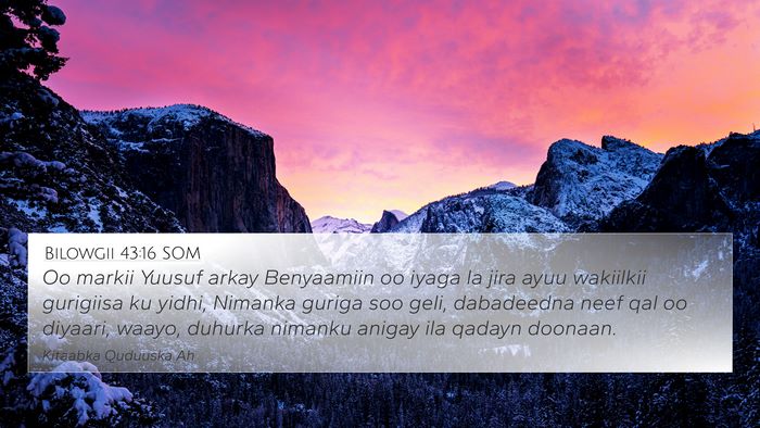 Bilowgii 43:16 SOM Bible Verse Image