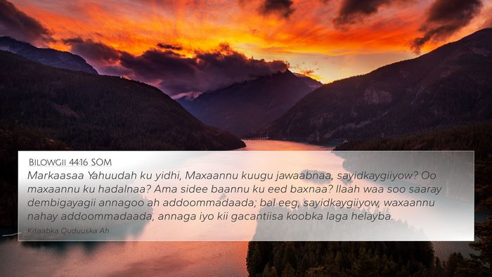 Bilowgii 44:16 SOM Bible Verse Image