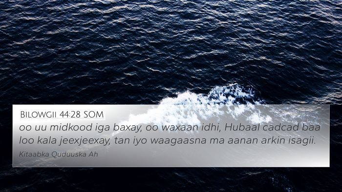 Bilowgii 44:28 SOM Bible Verse Image