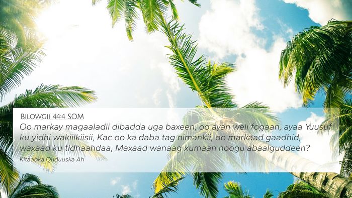 Bilowgii 44:4 SOM Bible Verse Image