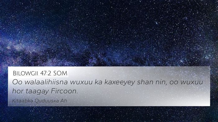Bilowgii 47:2 SOM Bible Verse Image