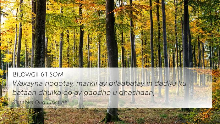 Bilowgii 6:1 SOM 4K Wallpaper - Waxayna noqotay, markii ay bilaabatay in dadku ku - 4K Wallpaper Bible Verse