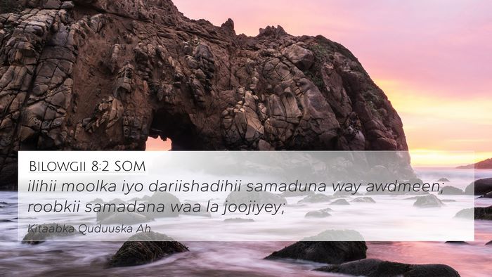 Bilowgii 8:2 SOM Bible Verse Image