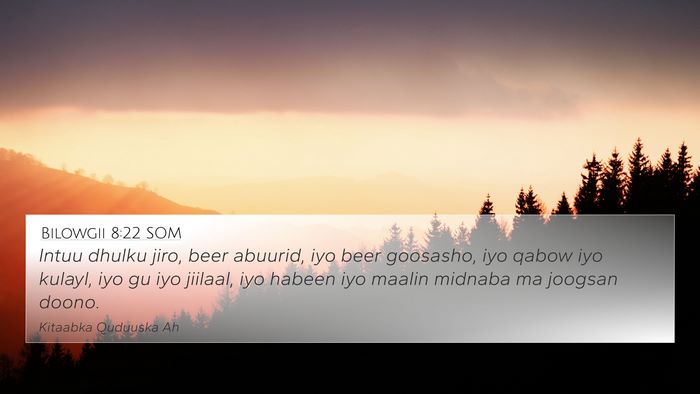 Bilowgii 8:22 SOM Bible Verse Image