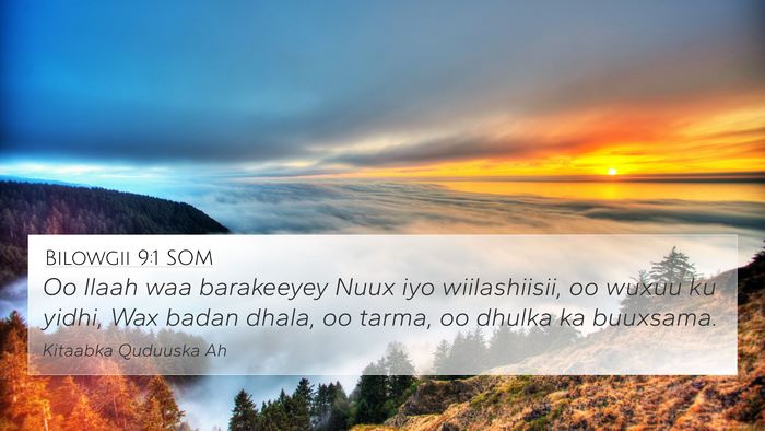 Bilowgii 9:1 SOM 4K Wallpaper - Oo Ilaah waa barakeeyey Nuux iyo wiilashiisii, oo - 4K Wallpaper Bible Verse