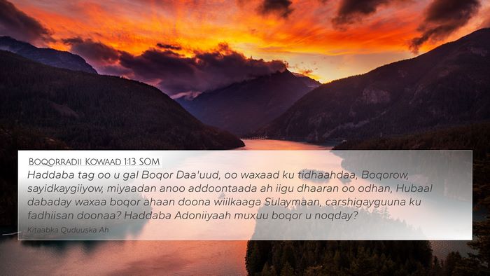 Boqorradii Kowaad 1:13 SOM Bible Verse Image