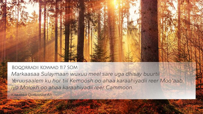 Boqorradii Kowaad 11:7 SOM Bible Verse Image