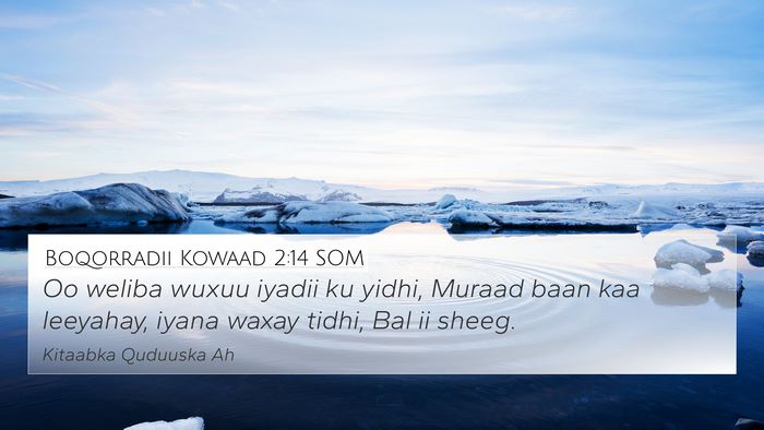 Boqorradii Kowaad 2:14 SOM 4K Wallpaper - Oo weliba wuxuu iyadii ku yidhi, Muraad baan kaa - 4K Wallpaper Bible Verse