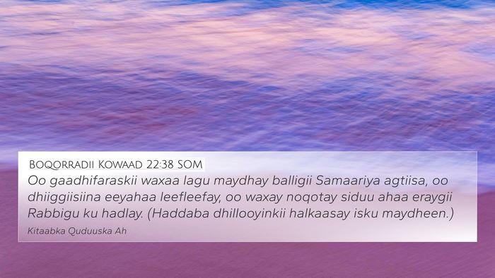 Boqorradii Kowaad 22:38 SOM Bible Verse Image