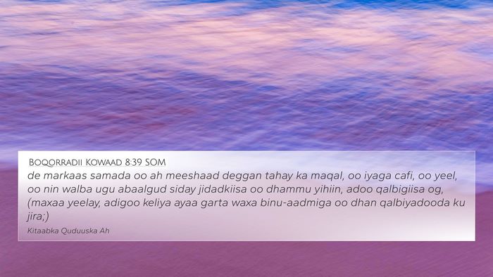 Boqorradii Kowaad 8:39 SOM Bible Verse Image