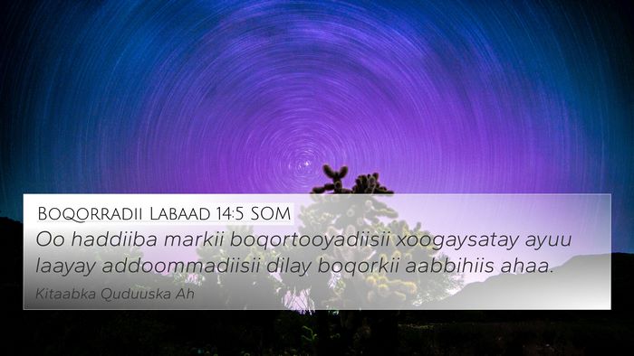Boqorradii Labaad 14:5 SOM Bible Verse Image