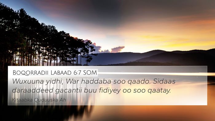 Boqorradii Labaad 6:7 SOM 4K Wallpaper - Wuxuuna yidhi, War haddaba soo qaado. Sidaas - 4K Wallpaper Bible Verse