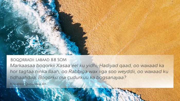 Boqorradii Labaad 8:8 SOM Bible Verse Image