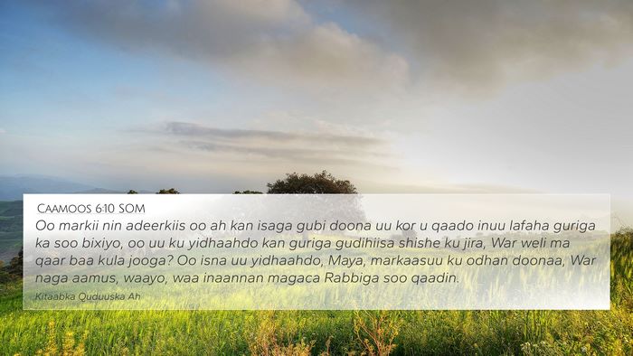 Caamoos 6:10 SOM Bible Verse Image