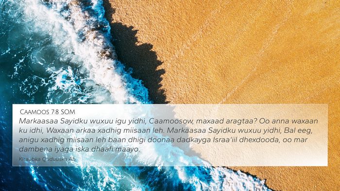 Caamoos 7:8 SOM Bible Verse Image