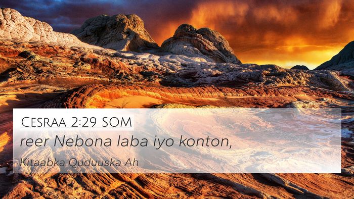 Cesraa 2:29 SOM 4K Wallpaper - reer Nebona laba iyo - 4K Wallpaper Bible Verse