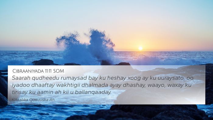 Cibraaniyada 11:11 SOM Bible Verse Image