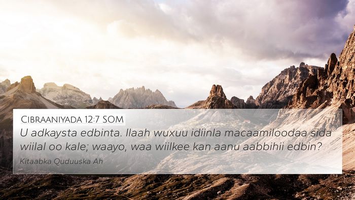 Cibraaniyada 12:7 SOM Bible Verse Image