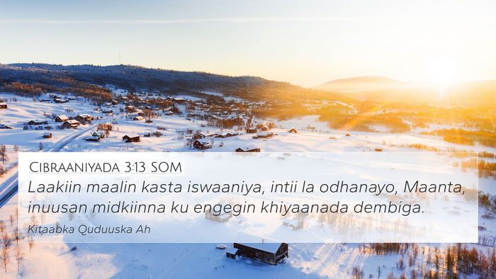 Cibraaniyada 3:13 SOM Bible Verse Image