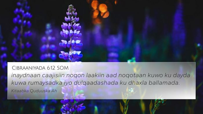 Cibraaniyada 6:12 SOM Bible Verse Image