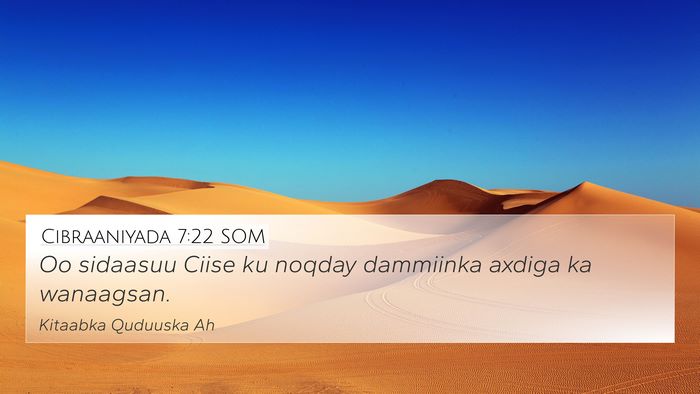 Cibraaniyada 7:22 SOM Bible Verse Image