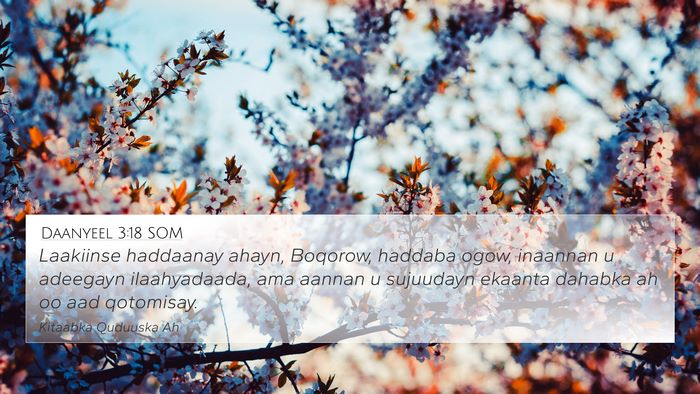 Daanyeel 3:18 SOM Bible Verse Image