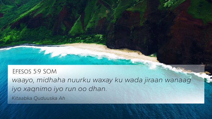 Efesos 5:9 SOM Bible Verse Image