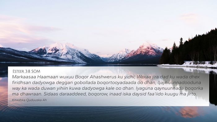 Esteer 3:8 SOM Bible Verse Image