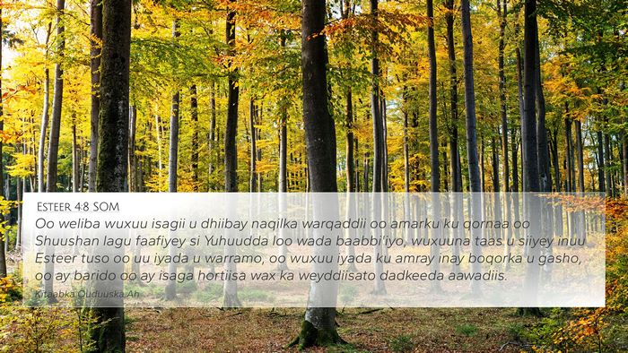 Esteer 4:8 SOM Bible Verse Image