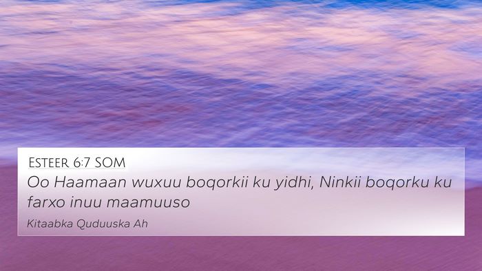 Esteer 6:7 SOM 4K Wallpaper - Oo Haamaan wuxuu boqorkii ku yidhi, Ninkii - 4K Wallpaper Bible Verse
