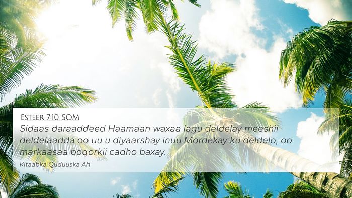 Esteer 7:10 SOM Bible Verse Image