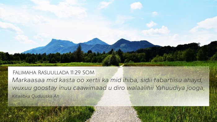 Falimaha Rasuullada 11:29 SOM Bible Verse Image