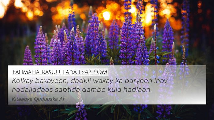 Falimaha Rasuullada 13:42 SOM Bible Verse Image