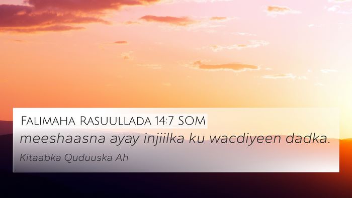 Falimaha Rasuullada 14:7 SOM Bible Verse Image
