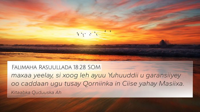 Falimaha Rasuullada 18:28 SOM Bible Verse Image
